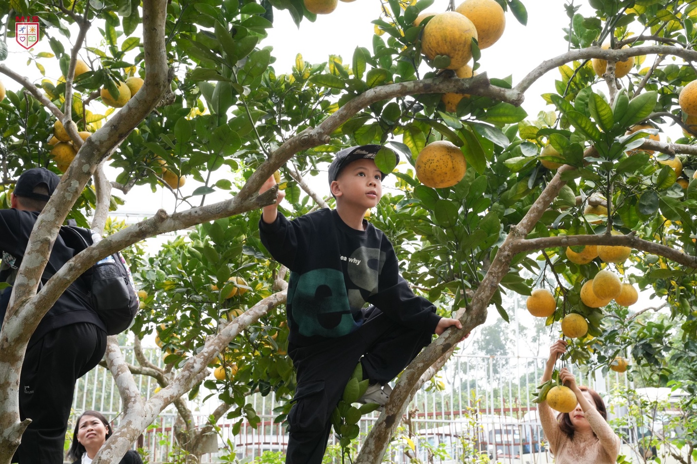 NGÀY GIA ĐÌNH MIS