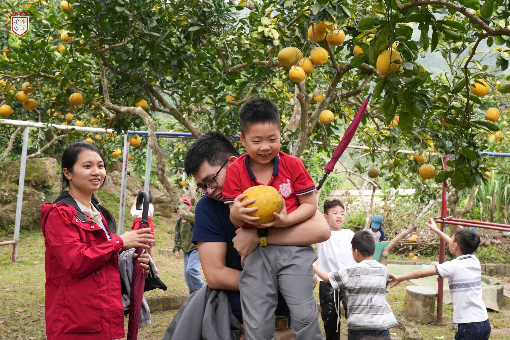 NGÀY GIA ĐÌNH MIS