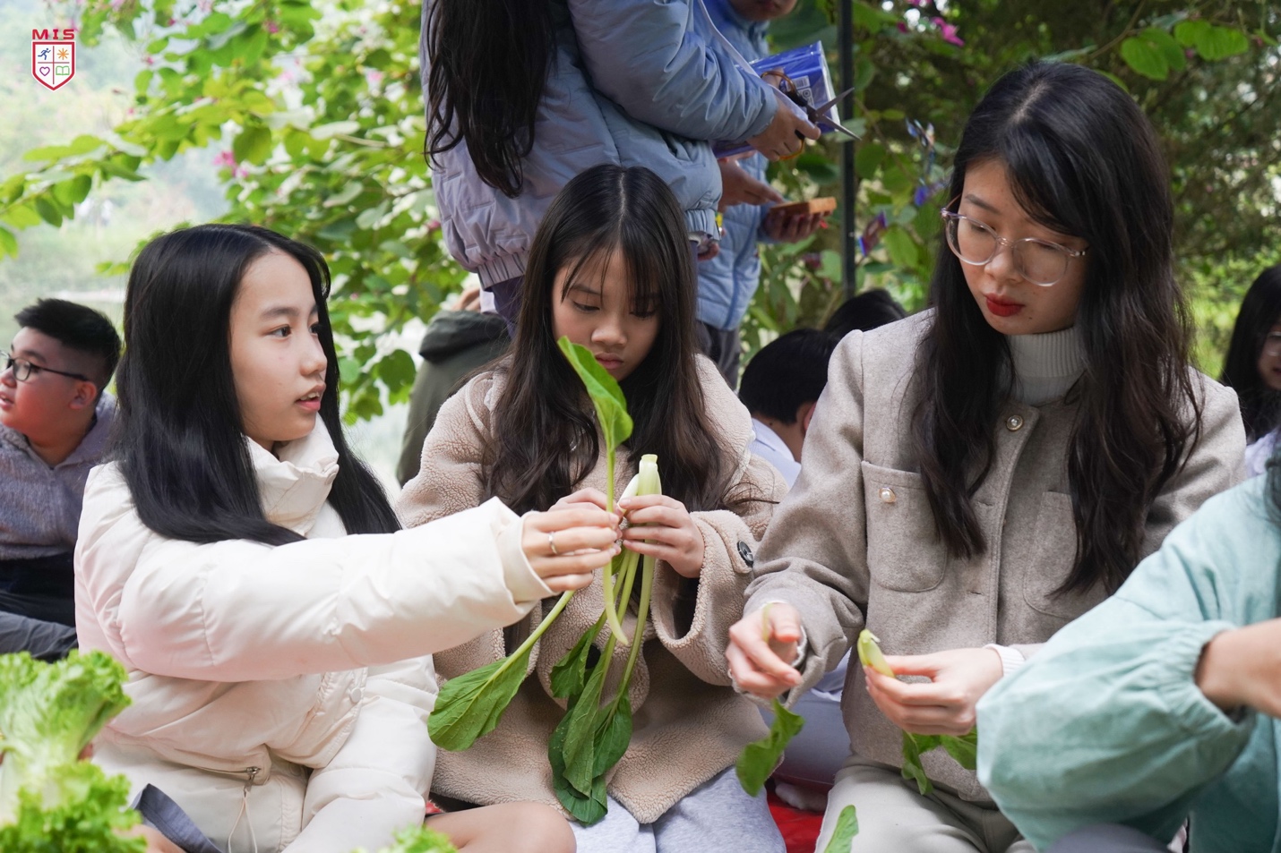 TRẢI NGHIỆM THỰC TẾ TẠI MIS PANDORA LANDSCAPE