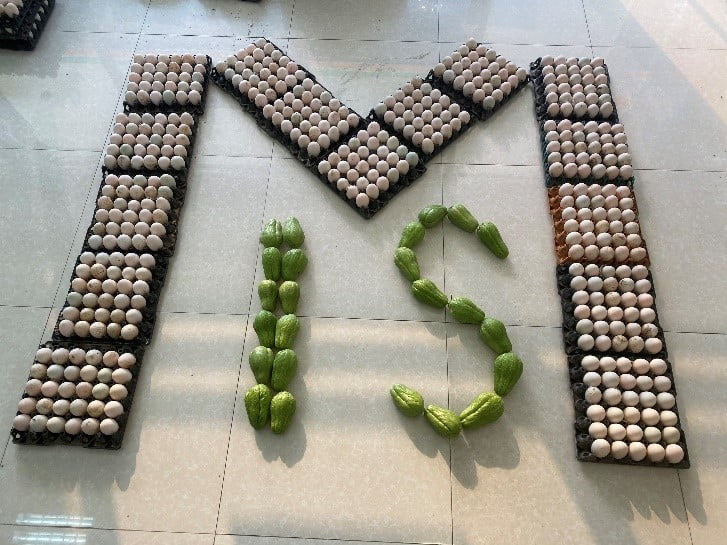 TẶNG THỰC PHẨM SẠCH TỪ TRANG TRẠI GIÁO DỤC MIS (những ngày tiếp theo)