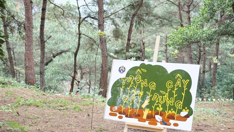 Hoạt động trải nghiệm: Trường học rừng xanh