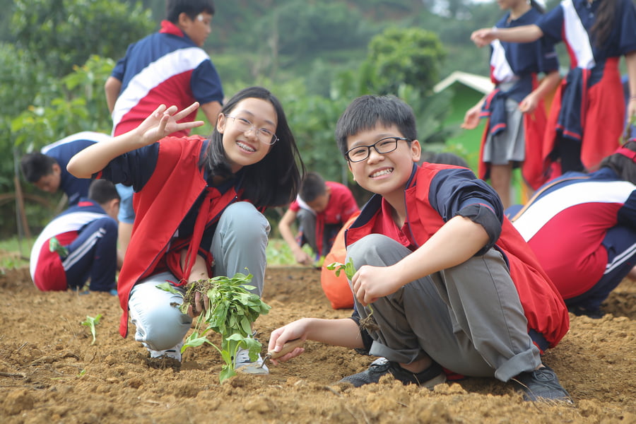 NÔNG TRẠI TRÙ PHÚ