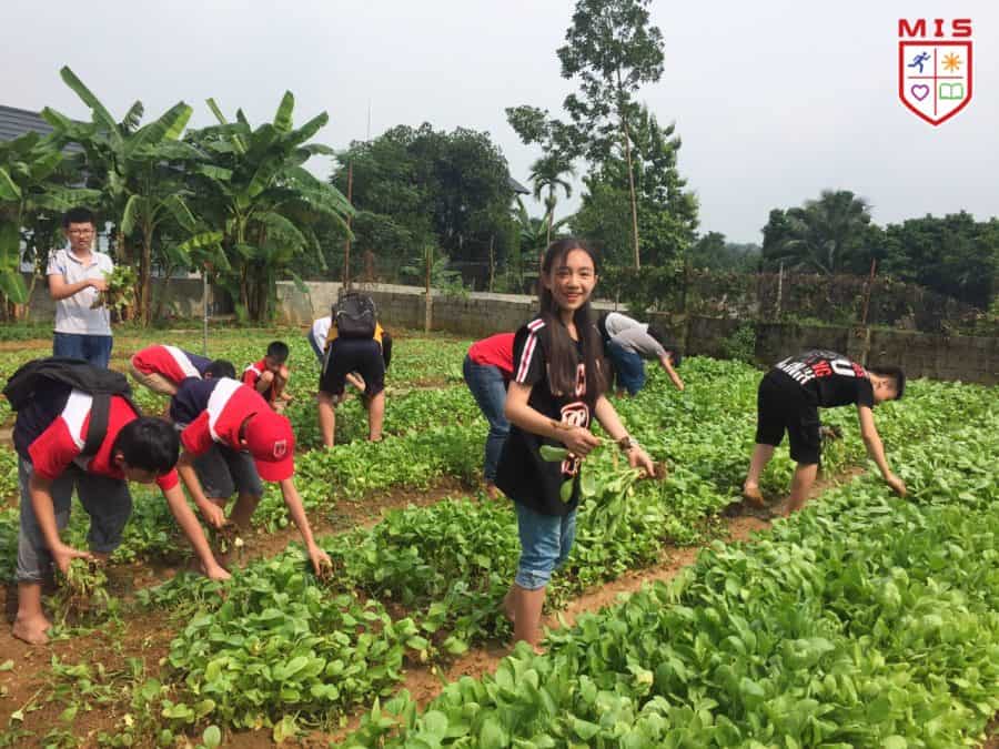Vươn dài tri thức và cảm thụ cuộc sống – Khối 7 MIS trải nghiệm dã ngoại