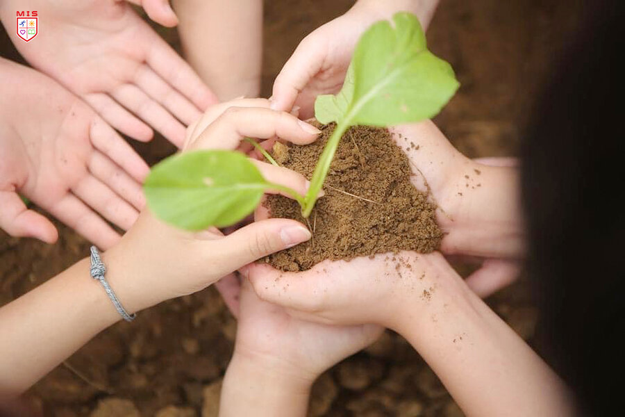 NHỮNG HẠT MẦM NHỎ SÁNG RỠ – CÙNG NHAU PHÁ VỠ GIỚI HẠN TƯ DUY