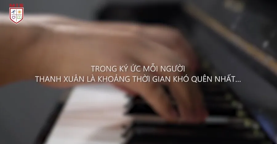 THƯƠNG GỬI NHỮNG CÁNH CHIM ĐẦU ĐÀN CỦA MIS