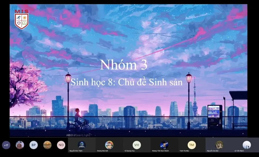 GIÁO DỤC GIỚI TÍNH CHO MISers CẤP THCS