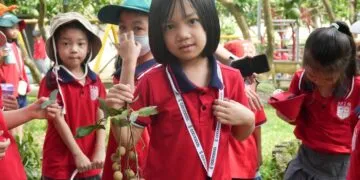 VỀ VỚI MÙA NHÃN NGỌT